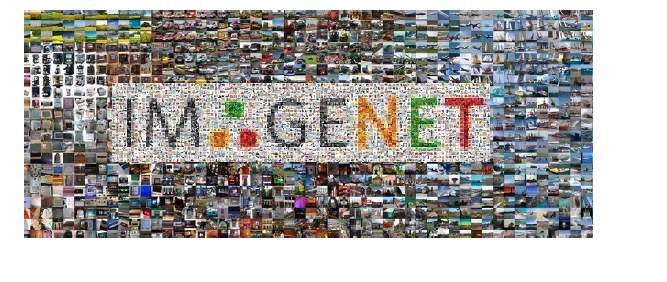 ../_images/imagenet1_1.png