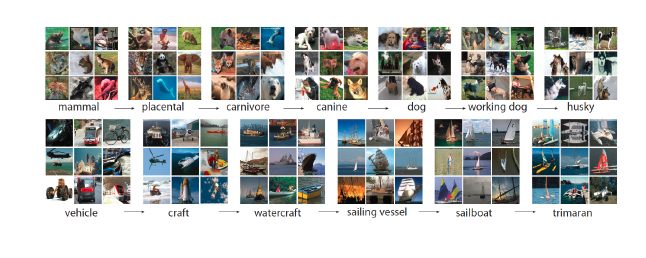 ../_images/imagenet1_2.png